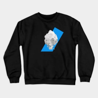 HoleChoked Crewneck Sweatshirt